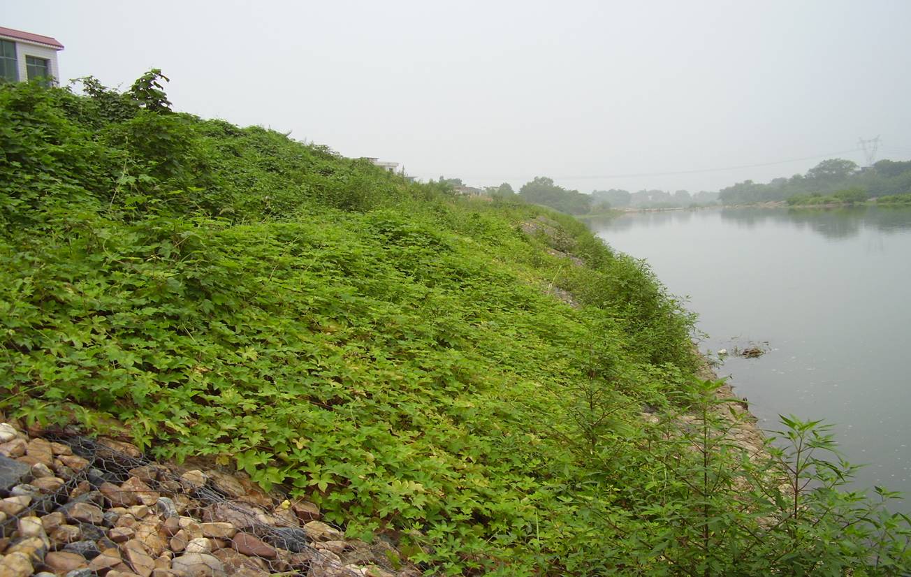 河道石籠網(wǎng)怎么防護？